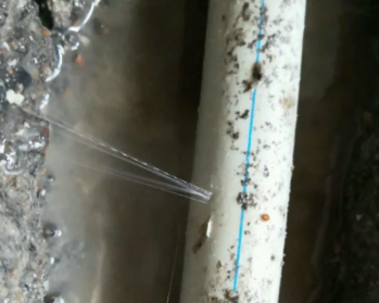 平阳卫生间测漏水多少钱