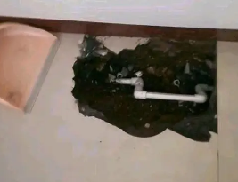 平阳卫生间测漏水多少钱